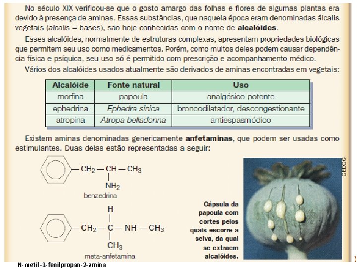 N-metil -1 -fenilpropan-2 -amina 