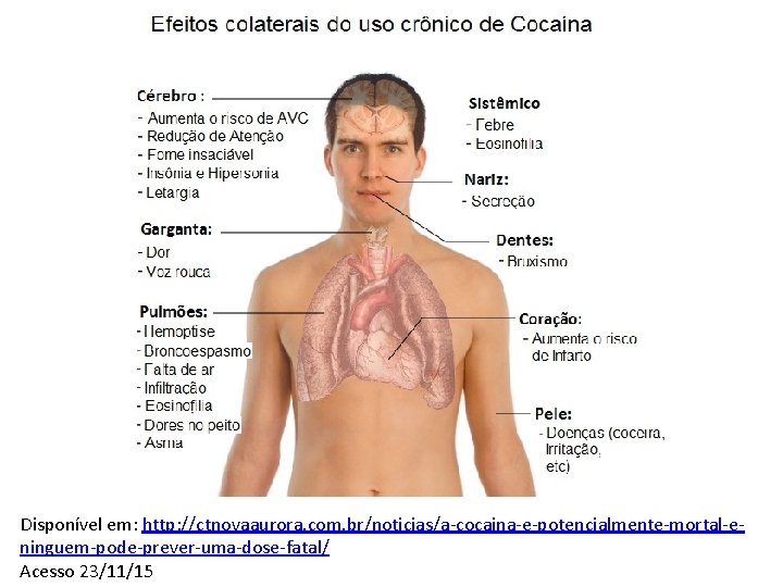 Disponível em: http: //ctnovaaurora. com. br/noticias/a-cocaina-e-potencialmente-mortal-eninguem-pode-prever-uma-dose-fatal/ Acesso 23/11/15 