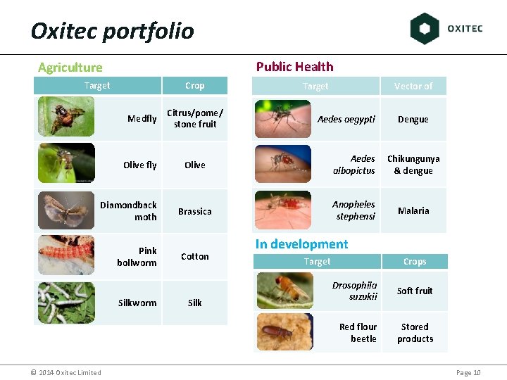 Oxitec portfolio Public Health Agriculture Target Crop Vector of Medfly Citrus/pome/ stone fruit Olive