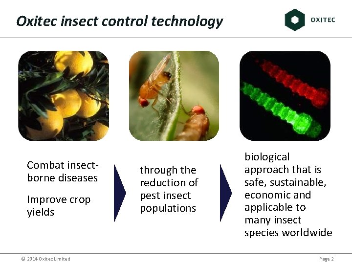 Oxitec insect control technology Combat insectborne diseases Improve crop yields © 2014 Oxitec Limited