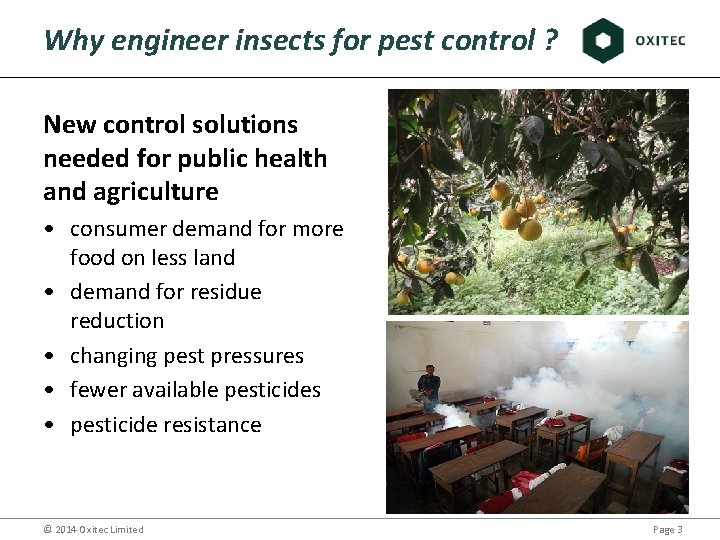 Why engineer insects for pest control ? New control solutions needed for public health