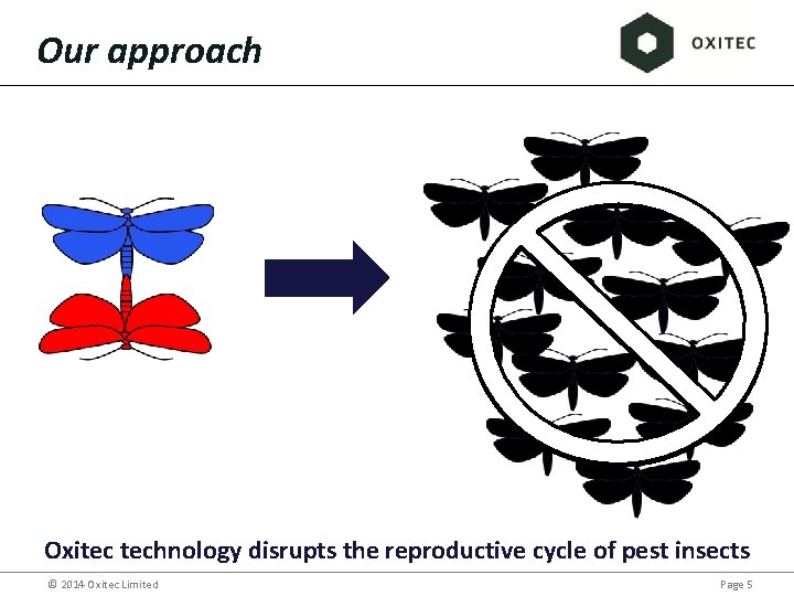 Our approach Oxitec technology disrupts the reproductive cycle of pest insects © 2014 Oxitec