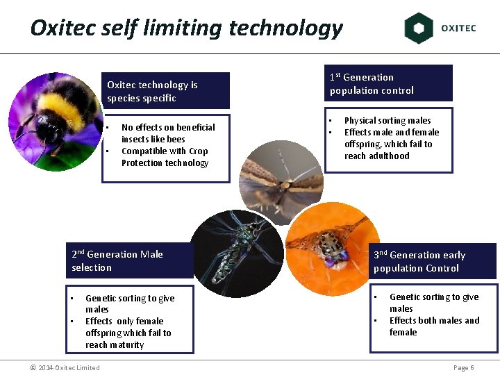 Oxitec self limiting technology Oxitec technology is species specific • • No effects on