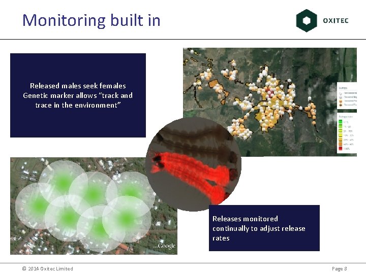 Monitoring built in Released males seek females Genetic marker allows “track and trace in