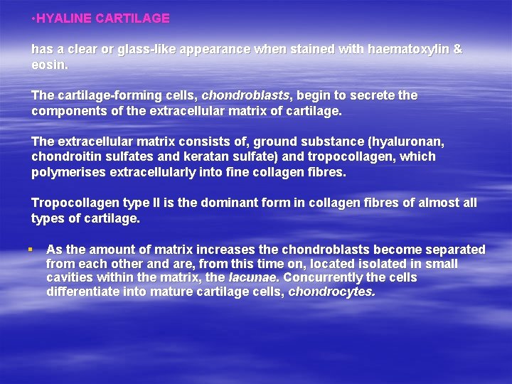  • HYALINE CARTILAGE has a clear or glass-like appearance when stained with haematoxylin