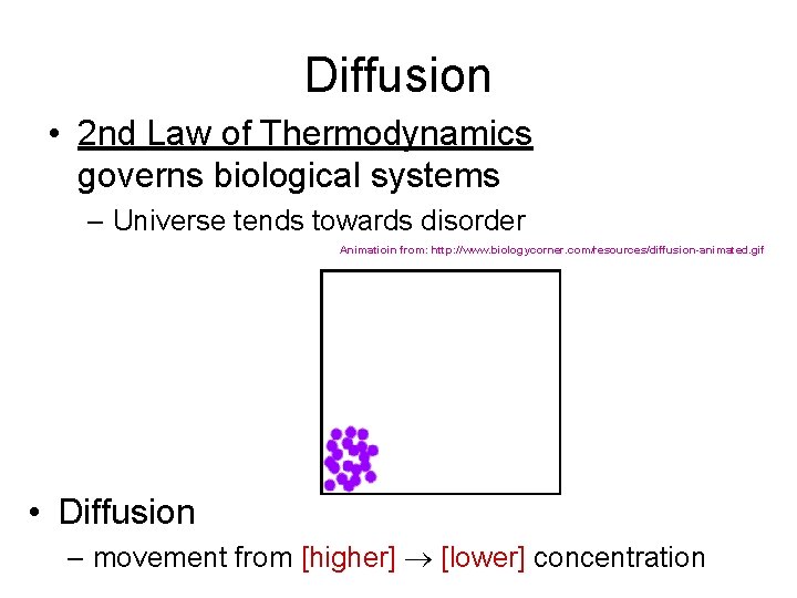 Diffusion • 2 nd Law of Thermodynamics governs biological systems – Universe tends towards