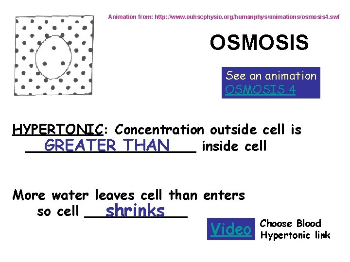Animation from: http: //www. ouhscphysio. org/humanphys/animations/osmosis 4. swf OSMOSIS See an animation OSMOSIS 4 Animation from: http: //www. ouhscphysio. org/humanphys/animations/osmosis 4. swf OSMOSIS See an animation OSMOSIS 4