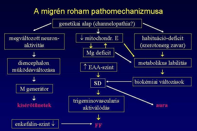 A migrén roham pathomechanizmusa genetikai alap (channelopathia? ) megváltozott neuronaktivitás mitochondr. E Mg deficit A migrén roham pathomechanizmusa genetikai alap (channelopathia? ) megváltozott neuronaktivitás mitochondr. E Mg deficit