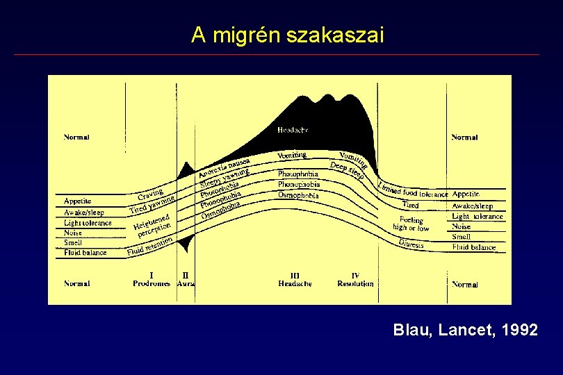 A migrén szakaszai Blau, Lancet, 1992 A migrén szakaszai Blau, Lancet, 1992