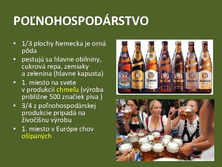 POĽNOHOSPODÁRSTVO • 1/3 plochy Nemecka je orná pôda • pestujú sa hlavne obilniny, cukrová