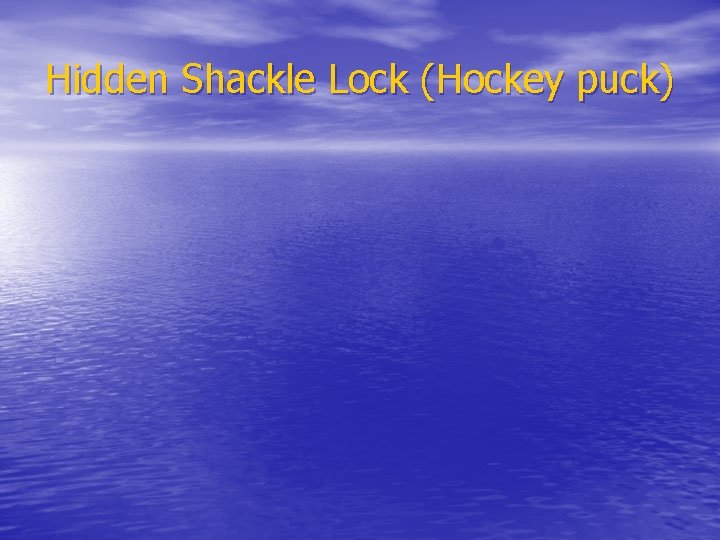 Hidden Shackle Lock (Hockey puck) 