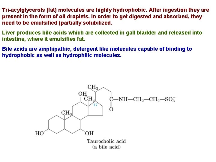 Tri-acylglycerols (fat) molecules are highly hydrophobic. After ingestion they are present in the form