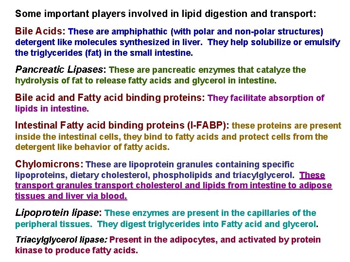 Some important players involved in lipid digestion and transport: Bile Acids: These are amphiphathic