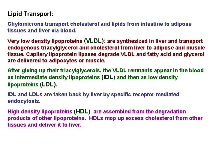 Lipid Transport: Chylomicrons transport cholesterol and lipids from intestine to adipose tissues and liver