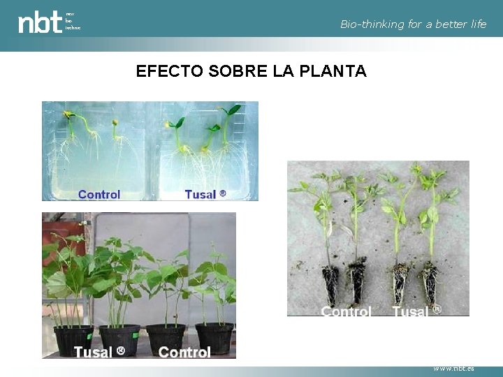 new bio technic Bio-thinking for a better life EFECTO SOBRE LA PLANTA www. nbt.