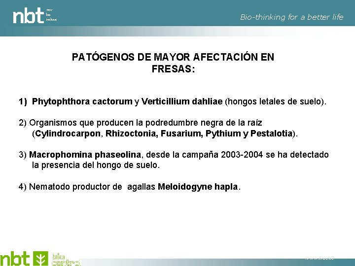 new bio technic Bio-thinking for a better life PATÓGENOS DE MAYOR AFECTACIÓN EN FRESAS: