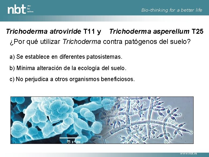 new bio technic Bio-thinking for a better life Trichoderma atroviride T 11 y Trichoderma