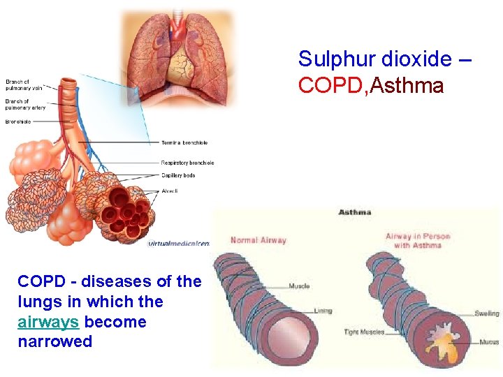 Sulphur dioxide – COPD, Asthma COPD - diseases of the lungs in which the