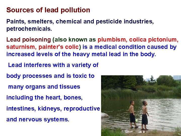 Sources of lead pollution Paints, smelters, chemical and pesticide industries, petrochemicals. Lead poisoning (also