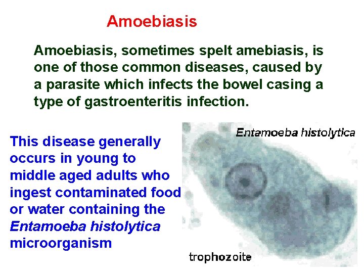 Amoebiasis, sometimes spelt amebiasis, is one of those common diseases, caused by a parasite