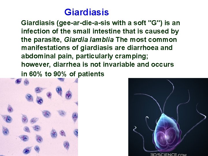 Giardiasis (gee-ar-die-a-sis with a soft "G") is an infection of the small intestine that