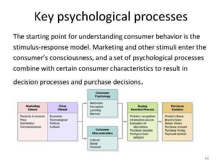 Key psychological processes The starting point for understanding consumer behavior is the stimulus-response model. Key psychological processes The starting point for understanding consumer behavior is the stimulus-response model.