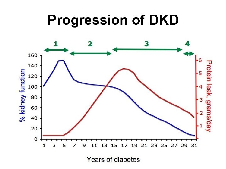 Progression of DKD 