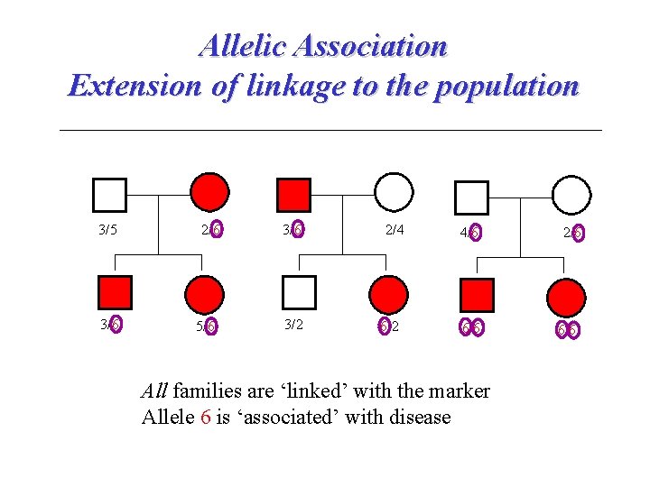 Allelic Association Extension of linkage to the population 3/5 3/6 2/6 5/6 3/2 2/4