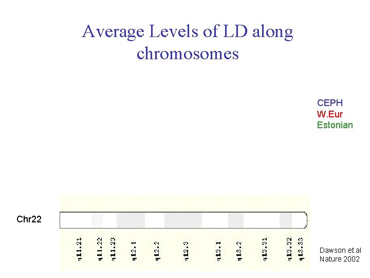 Average Levels of LD along chromosomes CEPH W. Eur Estonian Chr 22 Dawson et