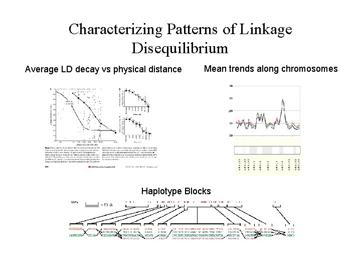 Characterizing Patterns of Linkage Disequilibrium Average LD decay vs physical distance Mean trends along