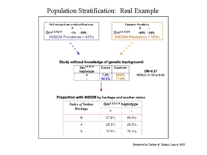 Population Stratification: Real Example Reviewed in Cardon & Palmer, Lancet 2003 