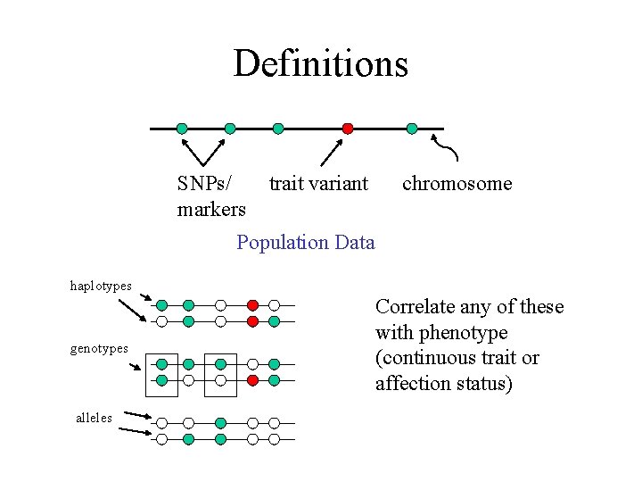 Definitions SNPs/ markers trait variant chromosome Population Data haplotypes genotypes alleles Correlate any of