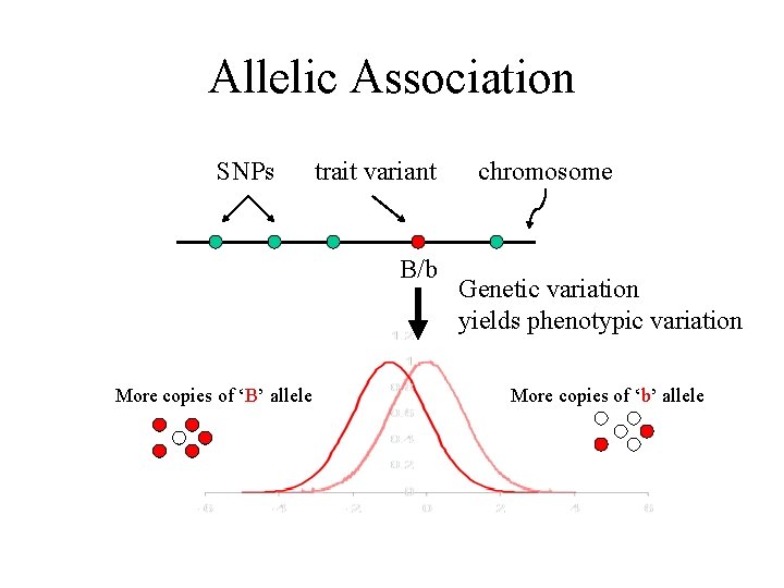 Allelic Association SNPs trait variant B/b More copies of ‘B’ allele chromosome Genetic variation