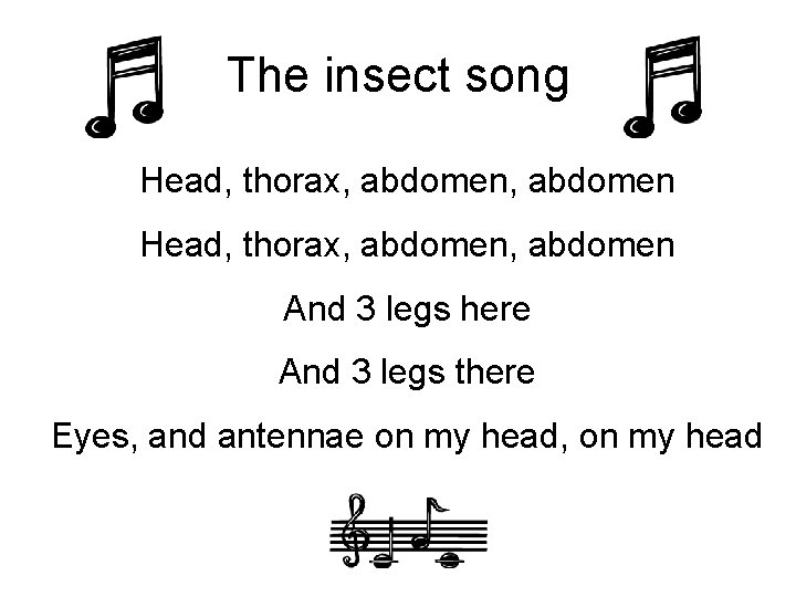 The insect song Head, thorax, abdomen, abdomen And 3 legs here And 3 legs