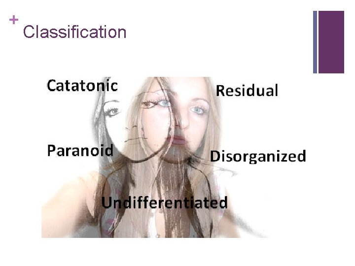 + Classification 
