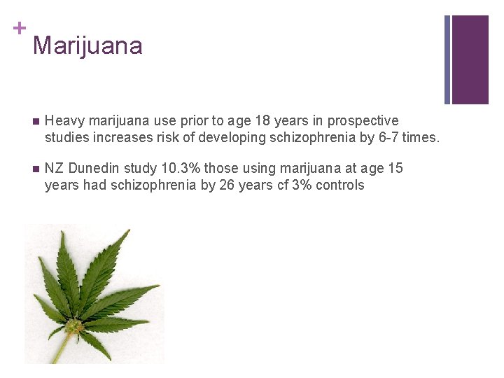 + Marijuana n Heavy marijuana use prior to age 18 years in prospective studies