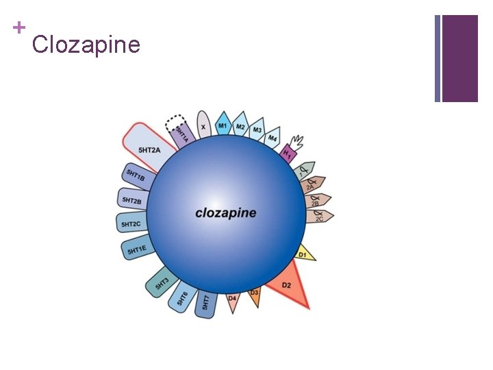 + Clozapine 