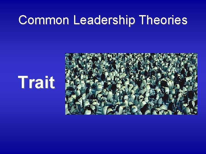 Common Leadership Theories Trait 