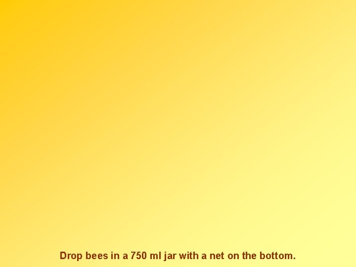 Drop bees in a 750 ml jar with a net on the bottom. 