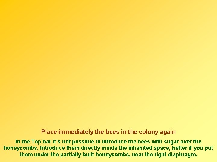 Place immediately the bees in the colony again In the Top bar it’s not