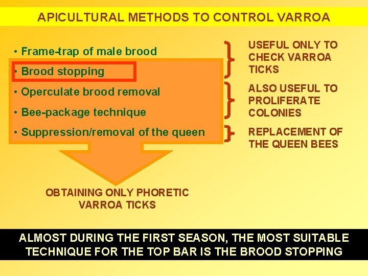APICULTURAL METHODS TO CONTROL VARROA • Frame-trap of male brood • Brood stopping •