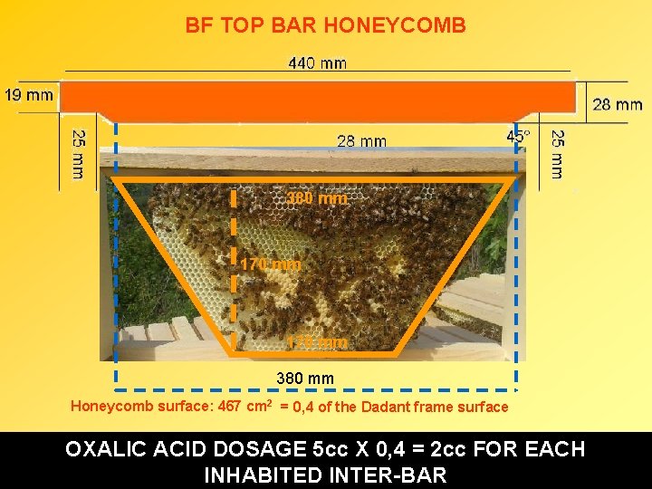 BF TOP BAR HONEYCOMB 380 mm 170 mm 380 mm Honeycomb surface: 467 cm