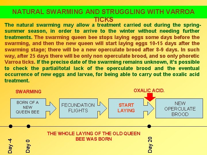 NATURAL SWARMING AND STRUGGLING WITH VARROA TICKS The natural swarming may allow a treatment