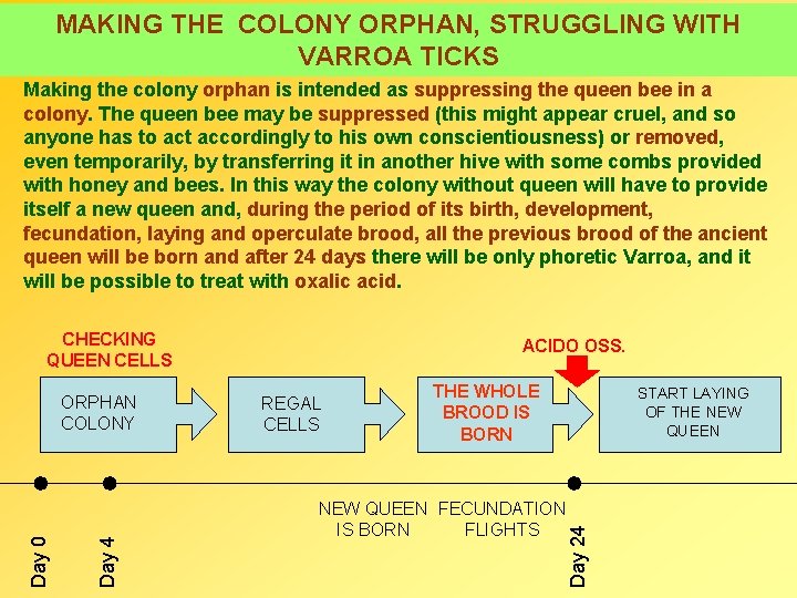 MAKING THE COLONY ORPHAN, STRUGGLING WITH VARROA TICKS Making the colony orphan is intended