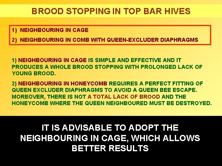 BROOD STOPPING IN TOP BAR HIVES 1) NEIGHBOURING IN CAGE 2) NEIGHBOURING IN COMB