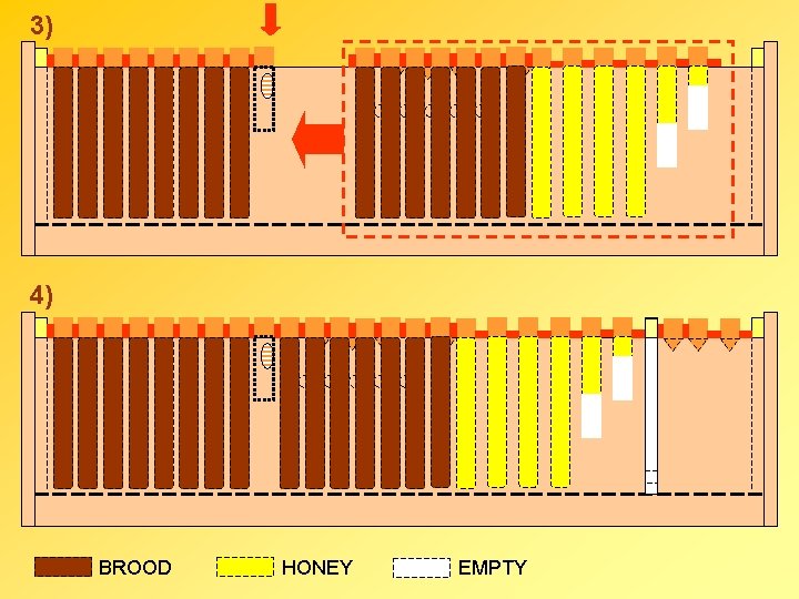 3) 4) BROOD HONEY EMPTY 