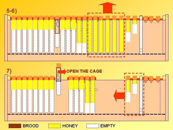 5 -6) 7) OPEN THE CAGE BROOD HONEY EMPTY 