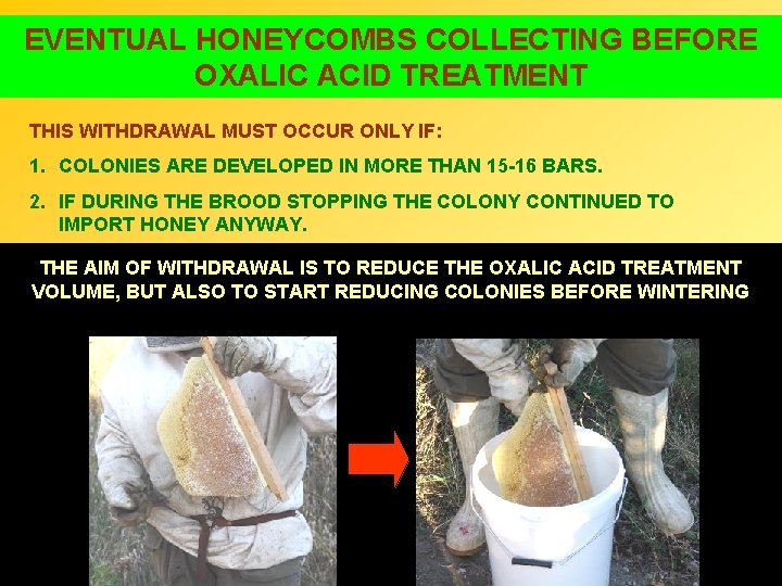 EVENTUAL HONEYCOMBS COLLECTING BEFORE OXALIC ACID TREATMENT THIS WITHDRAWAL MUST OCCUR ONLY IF: 1.
