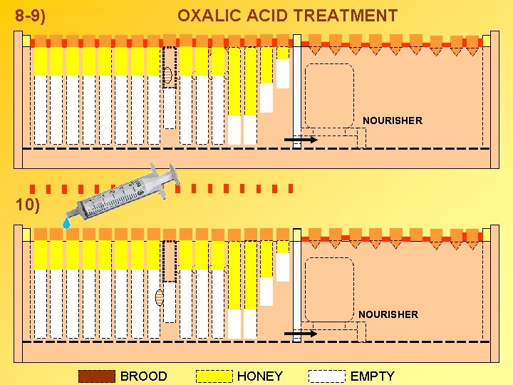 8 -9) OXALIC ACID TREATMENT NOURISHER 10) NOURISHER BROOD HONEY EMPTY 