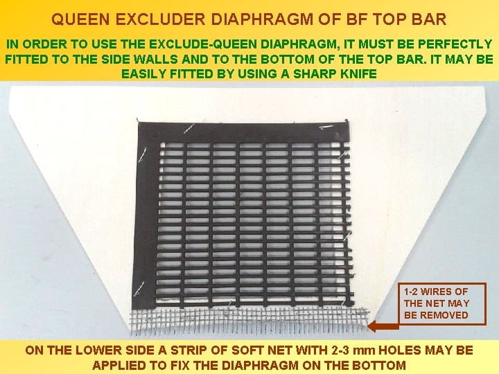 QUEEN EXCLUDER DIAPHRAGM OF BF TOP BAR IN ORDER TO USE THE EXCLUDE-QUEEN DIAPHRAGM,